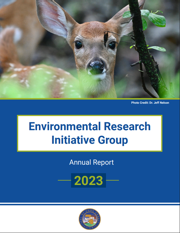 Cover of report